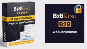 plugin-b2bking